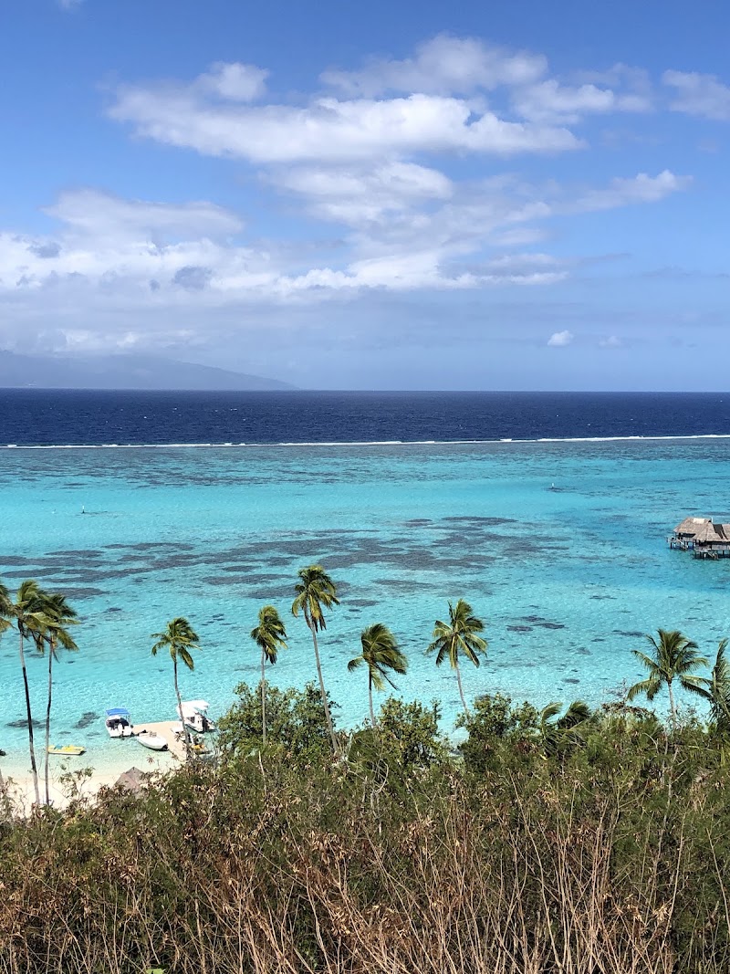 Photo 1 at Toatea Lookout in Moorea-Maiao