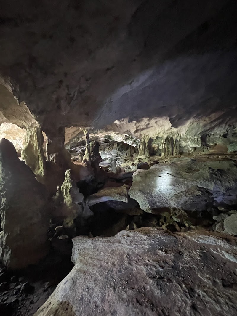 Conch Bar Caves in Conch Bar