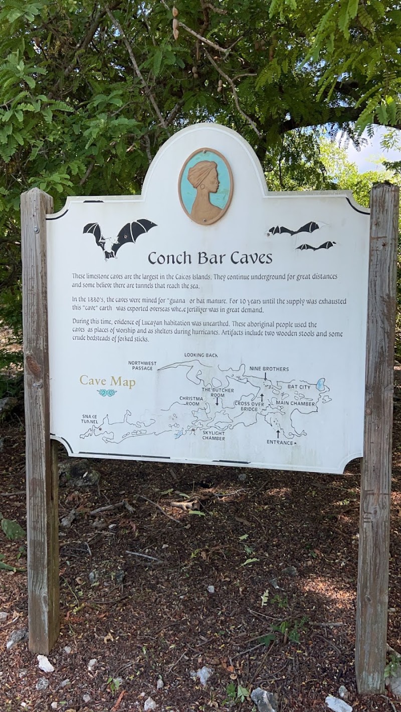 Photo 1 at Conch Bar Caves in Conch Bar
