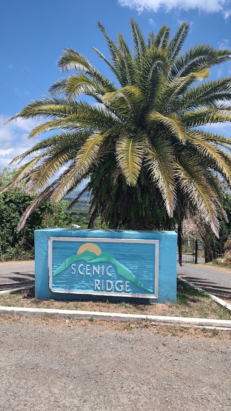 Photo 6 at Gecko's Island Adventures in Frederiksted