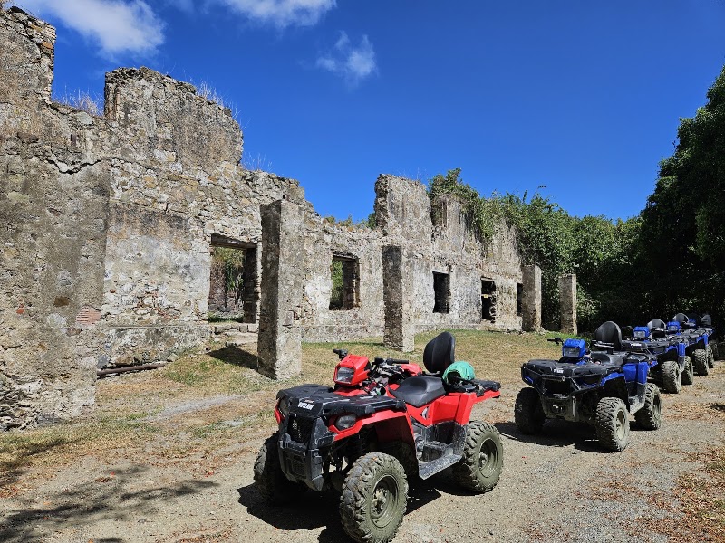 Photo 4 at Gecko's Island Adventures in Frederiksted