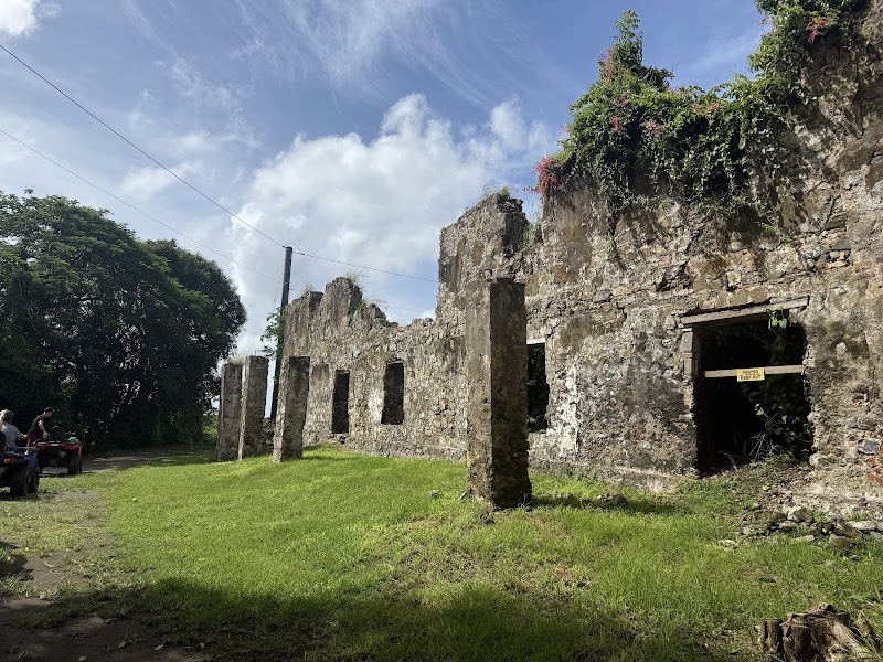 Photo 3 at Gecko's Island Adventures in Frederiksted