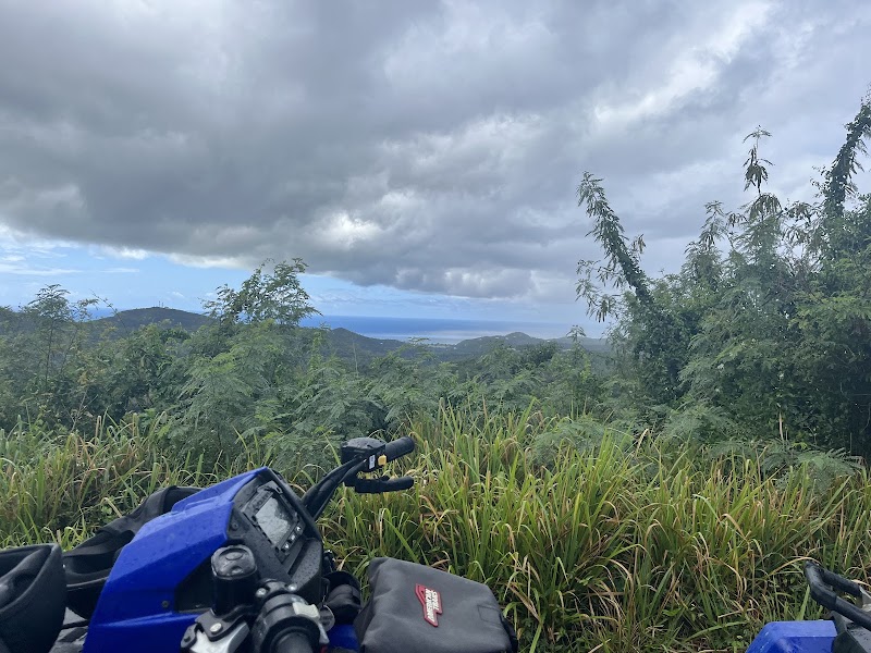 Photo 5 at Gecko's Island Adventures in Frederiksted