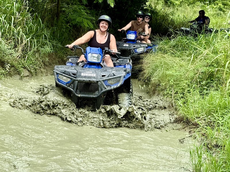 Photo 1 at Gecko's Island Adventures in Frederiksted