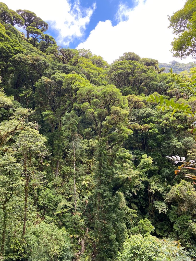 Photo 5 at Parque Nacional La Tigra in Los Planes