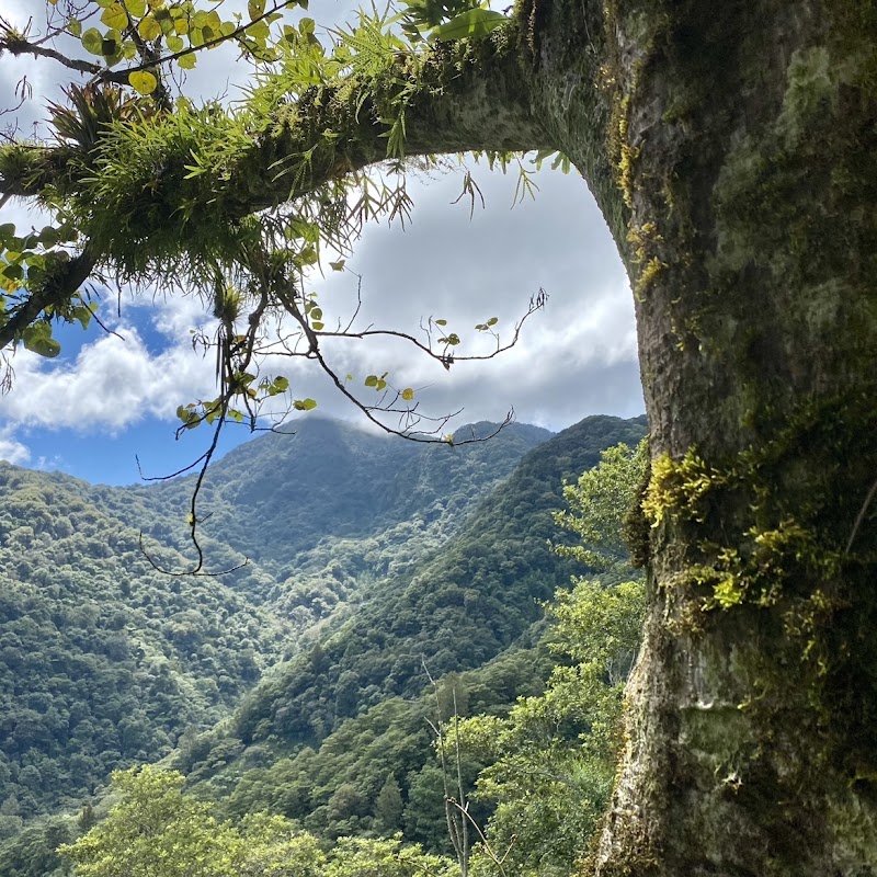 Parque Nacional La Tigra in Los Planes