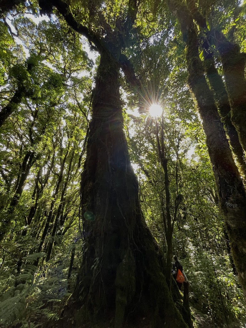 Photo 3 at Parque Nacional La Tigra in Los Planes