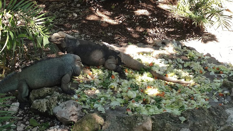Photo 2 at Hoyo Azul in Punta Cana