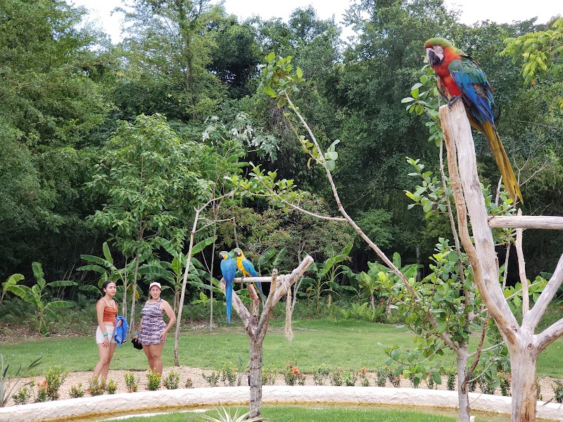 Photo 6 at Hoyo Azul in Punta Cana