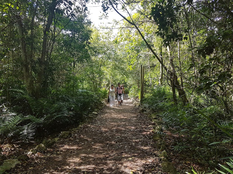 Photo 5 at Hoyo Azul in Punta Cana