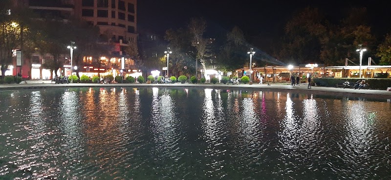 Photo 6 at Swan Lake in Yerevan