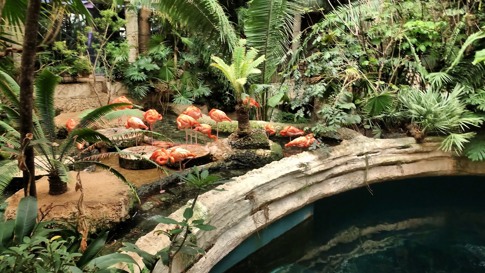 The Dallas World Aquarium in Dallas