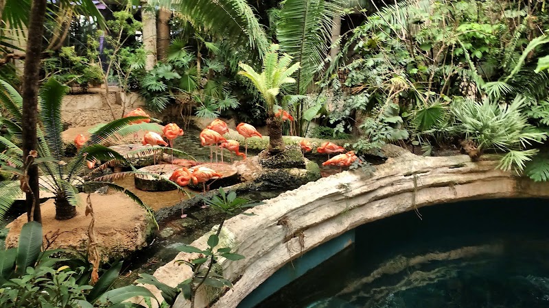 The Dallas World Aquarium in Dallas