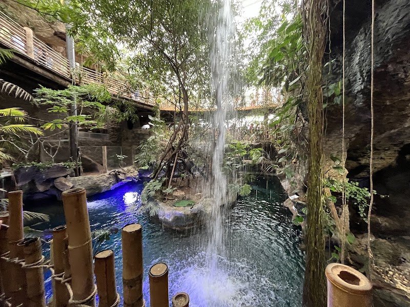 Photo 5 at The Dallas World Aquarium in Dallas