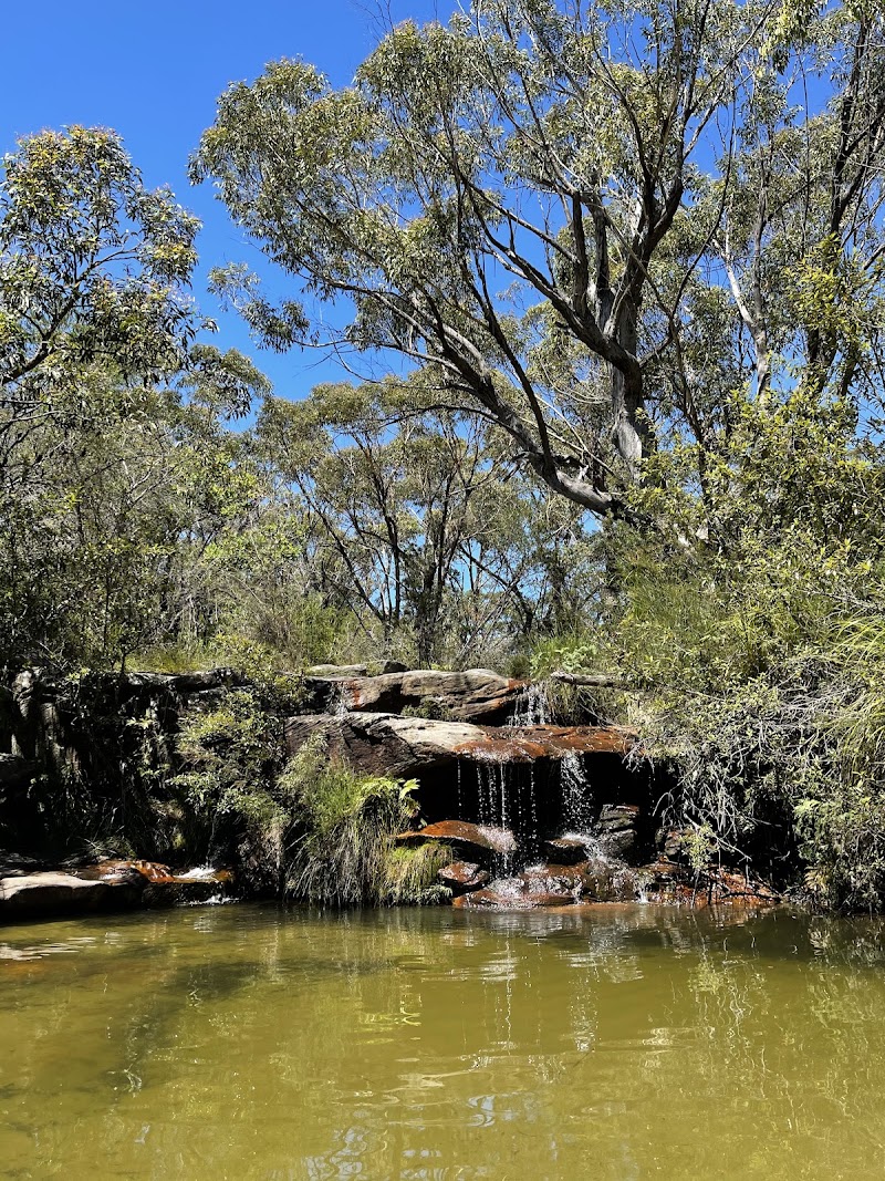 Photo 4 at Pittwater Eco Adventures in Manly