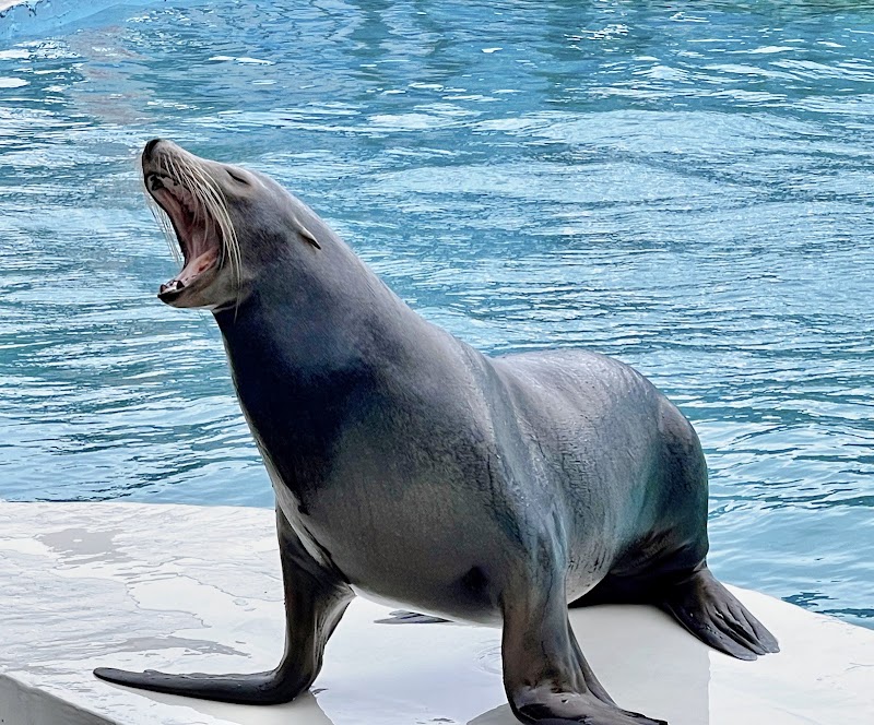 Photo 3 at Yehliu Ocean World in Yeliu Village
