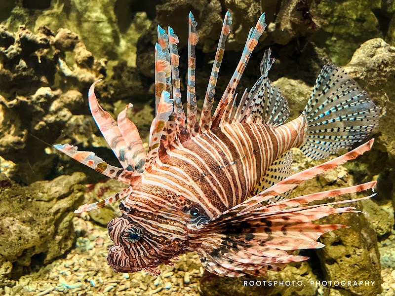 Photo 5 at Yehliu Ocean World in Yeliu Village