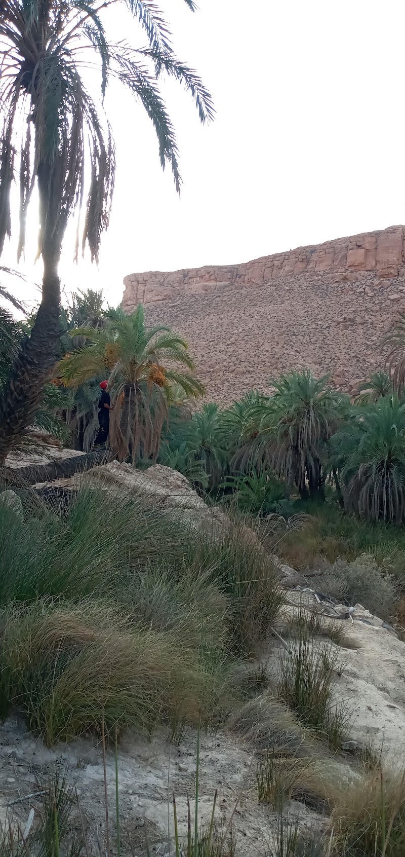 Photo 2 at Chenini Old Village - ⵛⴻⵏⵉⵏⵉ in Chenini