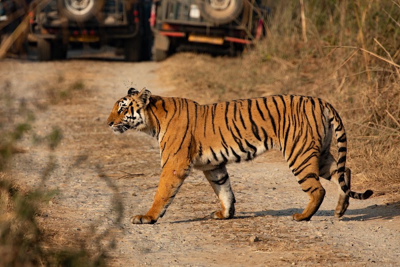 Jim Corbett National Park in 
