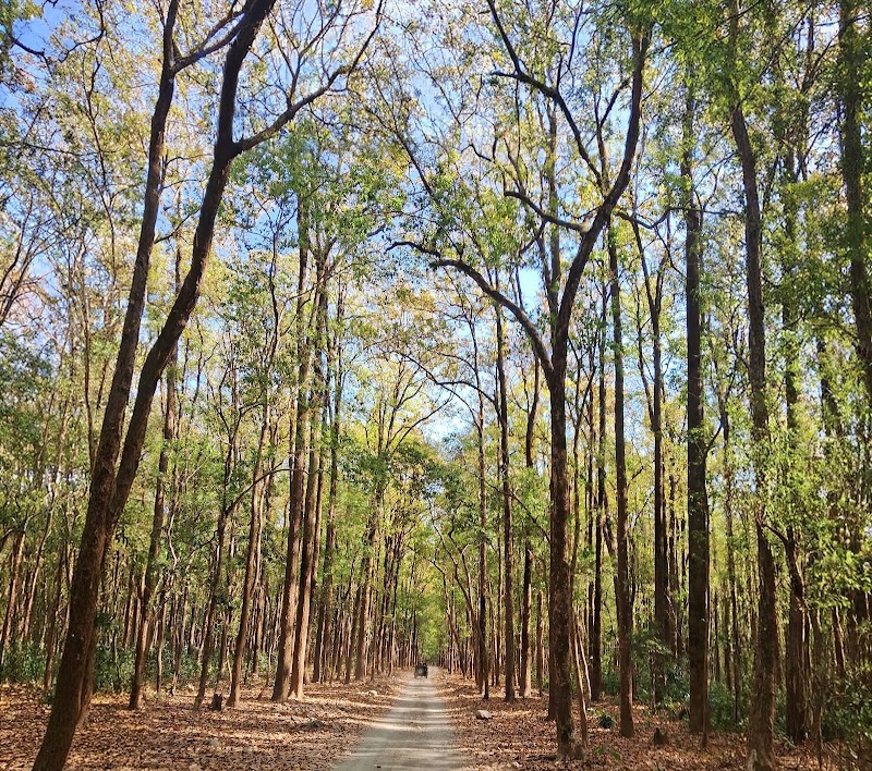 Photo 1 at Jim Corbett National Park in 
