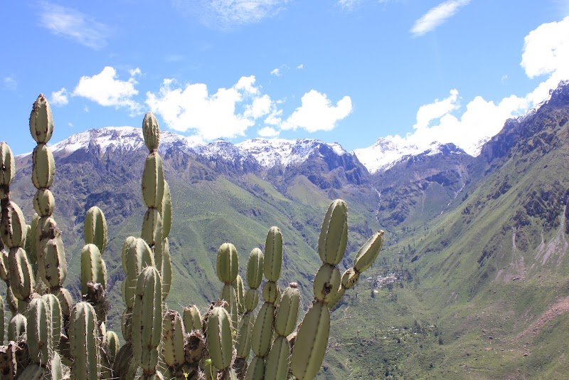 Photo 1 at Colca Canyon in 