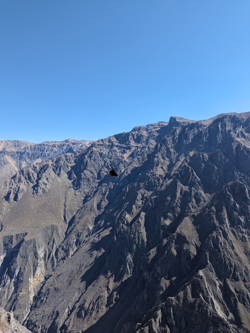 Photo 4 at Colca Canyon in 