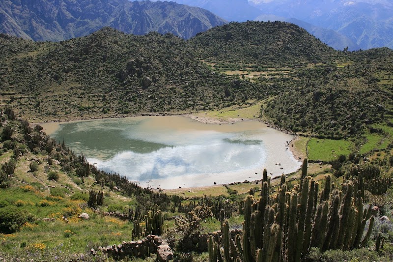 Photo 6 at Colca Canyon in 
