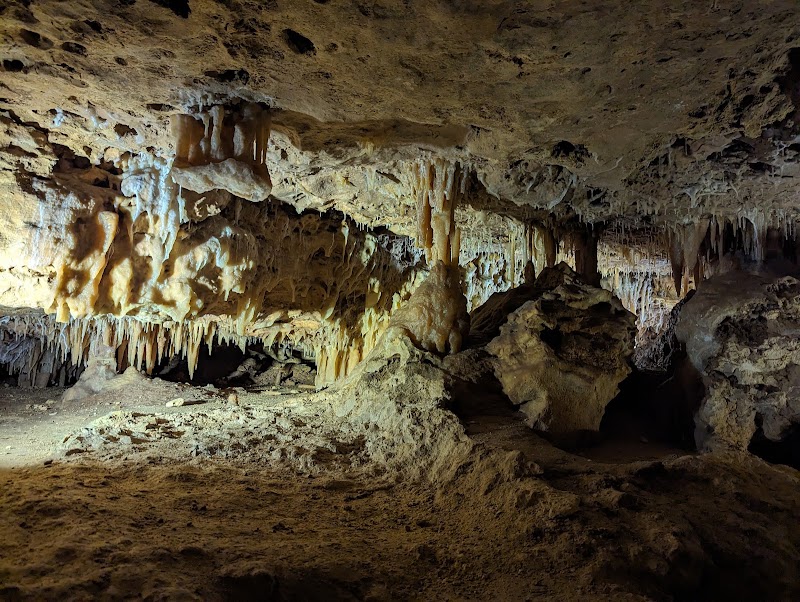 Photo 6 at Naracoorte Caves National Park in Naracoorte
