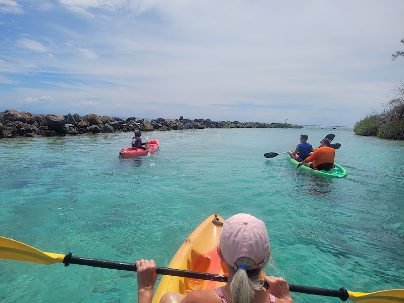 Photo 5 at Roatan Ocean Adventures in French Cay