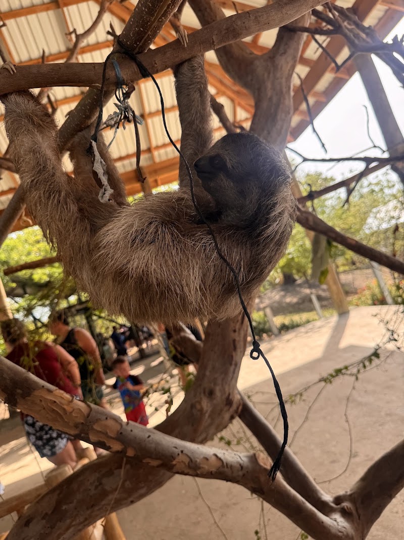 Photo 6 at Roatan Ocean Adventures in French Cay