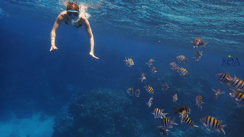Roatan Ocean Adventures in French Cay