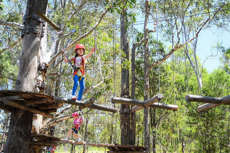 Photo 1 at Treetops Adventure Western Sydney in Abbotsbury