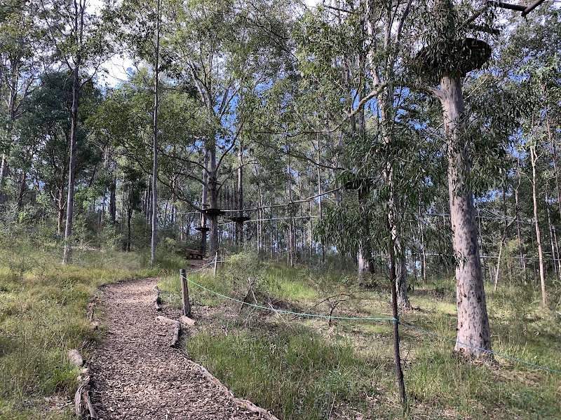 Photo 3 at Treetops Adventure Western Sydney in Abbotsbury