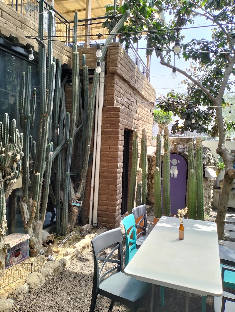 CASA AGAVE Ecuador in Quito