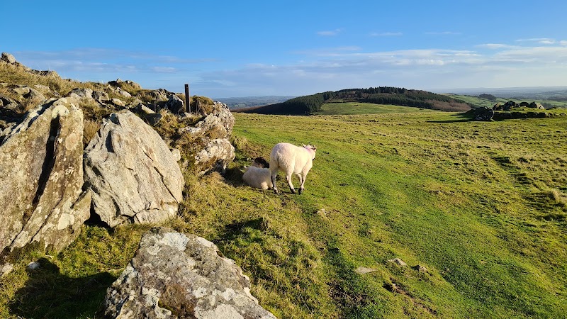 Photo 3 at Loughcrew Cairns in Oldcastle