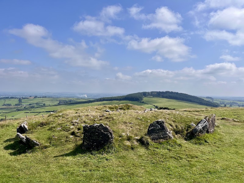 Photo 5 at Loughcrew Cairns in Oldcastle