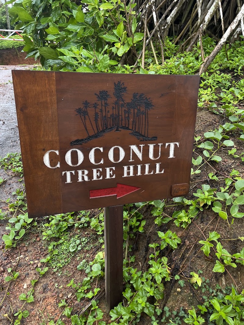 Photo 5 at Coconut Tree Hill in Mirissa