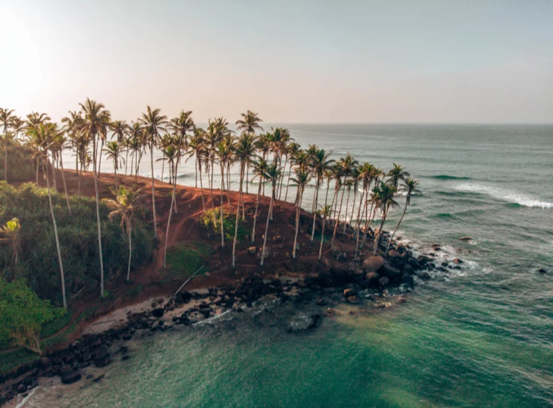 Photo 1 at Coconut Tree Hill in Mirissa