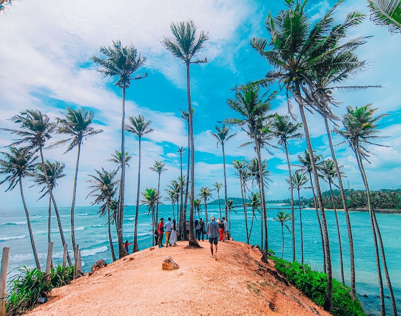 Coconut Tree Hill in Mirissa