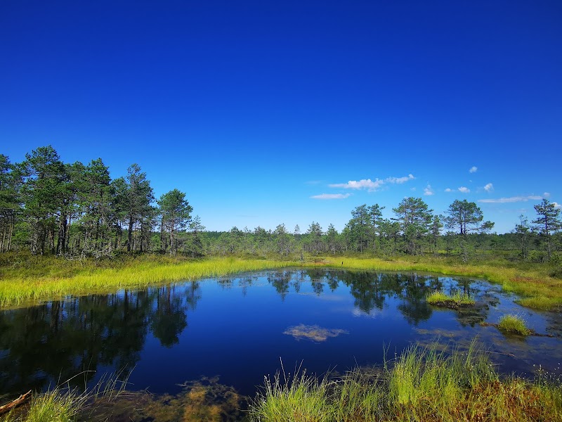 Lahemaa National Park in 
