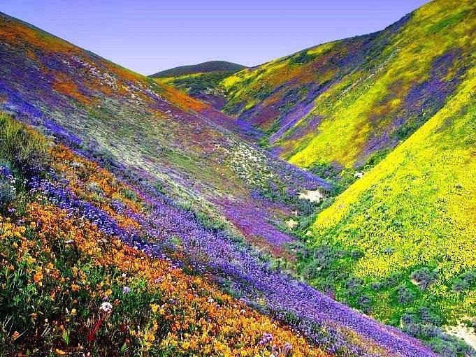 Photo 4 at Nanda Devi National Park in Garpak