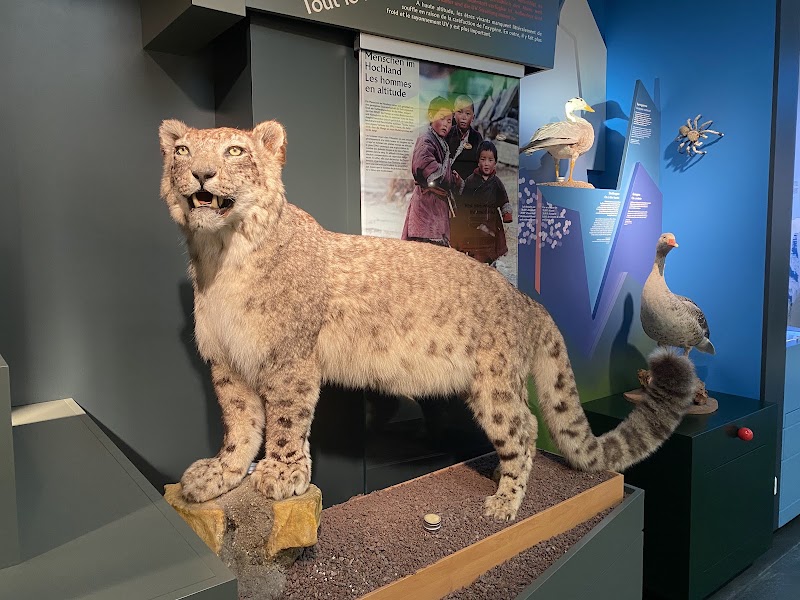 Photo 5 at Luxembourg National Museum of Natural History in Luxembourg
