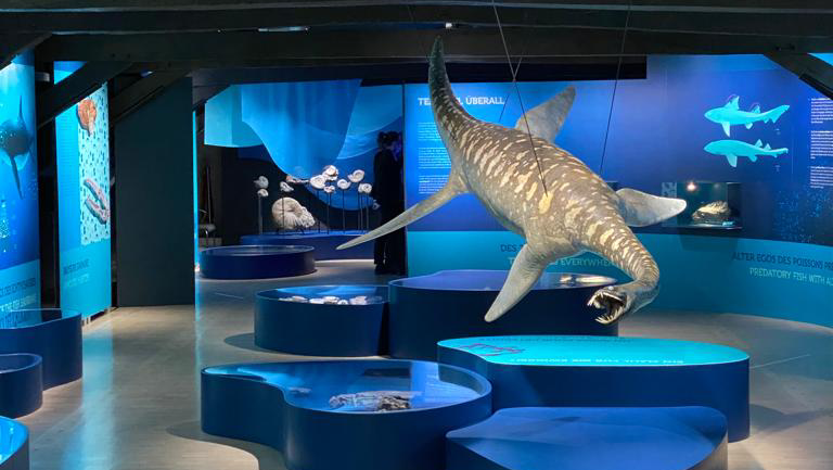 Luxembourg National Museum of Natural History in Luxembourg