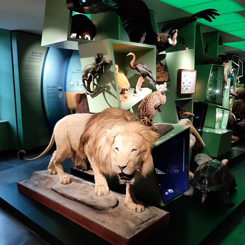 Photo 1 at Luxembourg National Museum of Natural History in Luxembourg