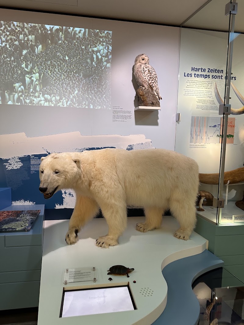 Photo 4 at Luxembourg National Museum of Natural History in Luxembourg