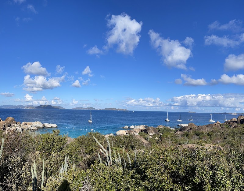 Photo 1 at Devil's Bay National Park in Spanish Town