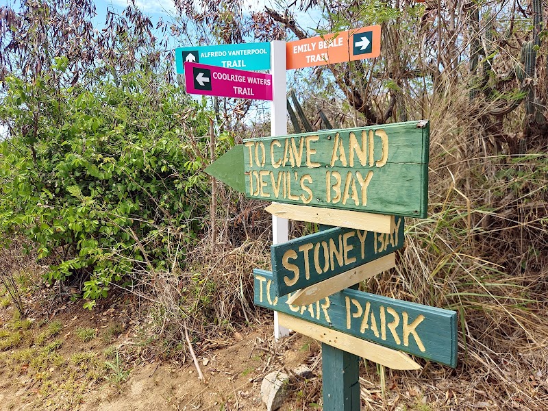 Photo 5 at Devil's Bay National Park in Spanish Town