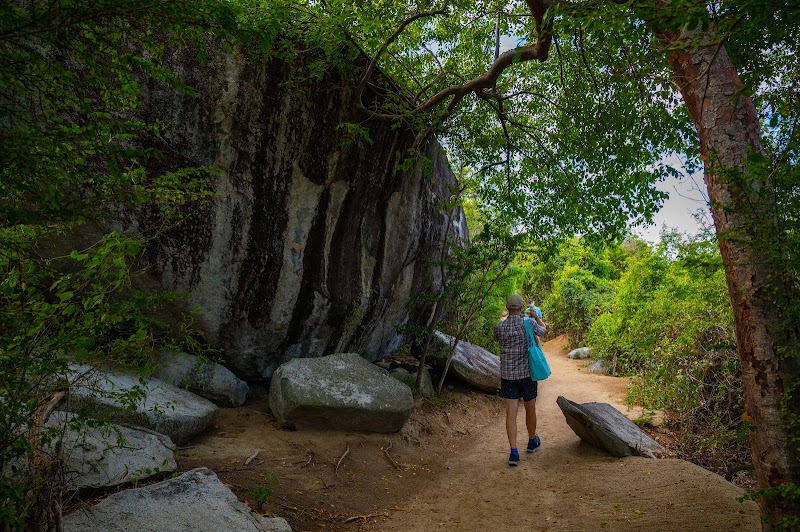 Photo 6 at Devil's Bay National Park in Spanish Town