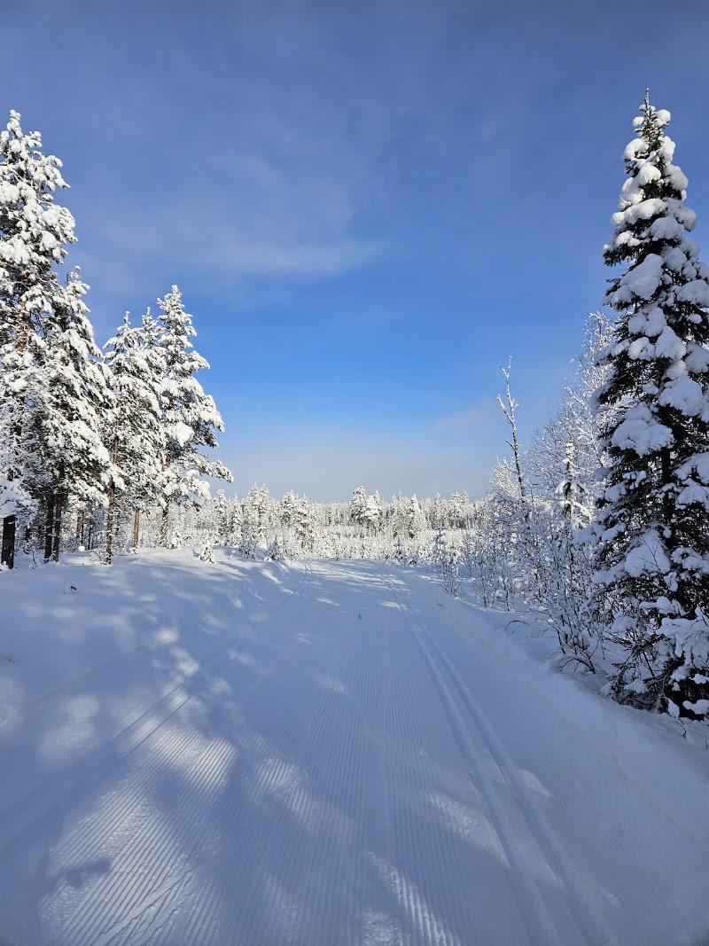 Photo 5 at Bliss Adventure in Pelkosenniemi