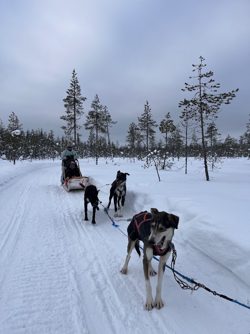 Photo 6 at Bliss Adventure in Pelkosenniemi